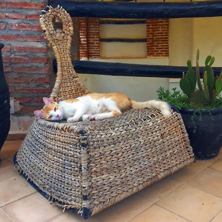 Riad Nejma Lounge มาร์ราเกช ภายนอก รูปภาพ