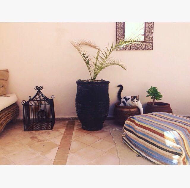 Riad Nejma Lounge มาร์ราเกช ภายนอก รูปภาพ
