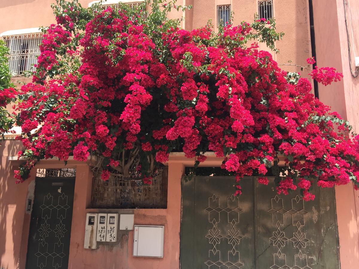 Riad Nejma Lounge มาร์ราเกช ภายนอก รูปภาพ